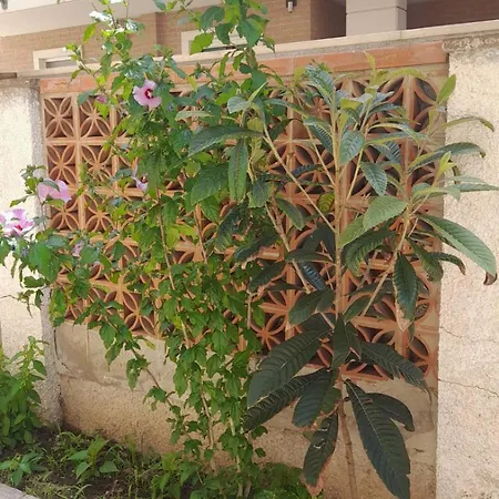 Onda Bianca Guest house